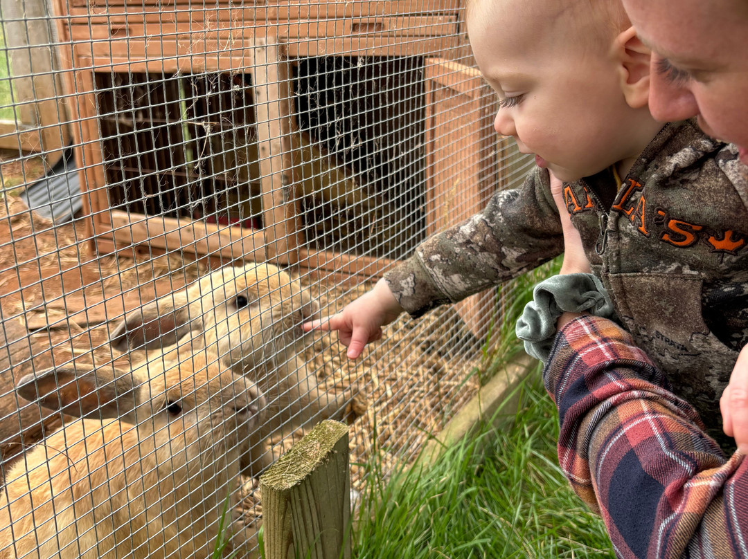 The Graham Inn主图