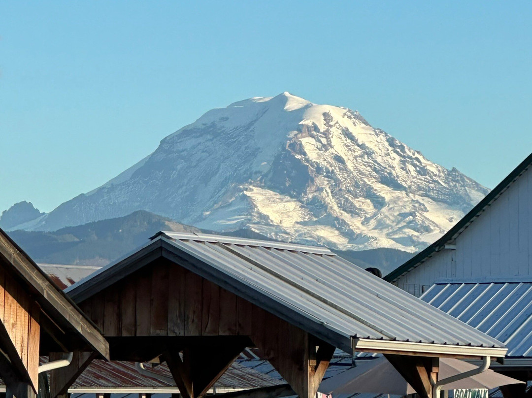 Maris Farms-Buckley必去景点