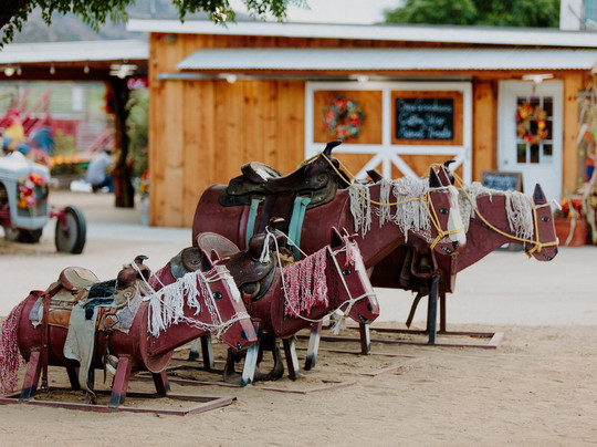 Oma's Family Farm-Lakeside必去景点