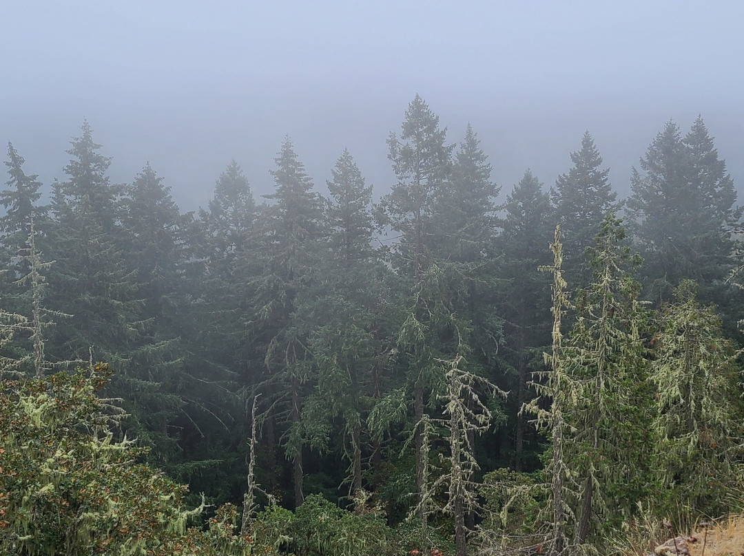 Spencer Butte-尤金必去景点