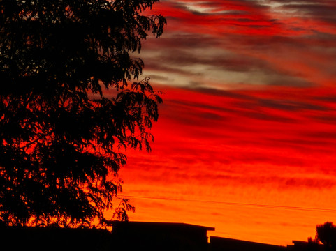 Hawthorn Extended Stay by Wyndham Loveland主图