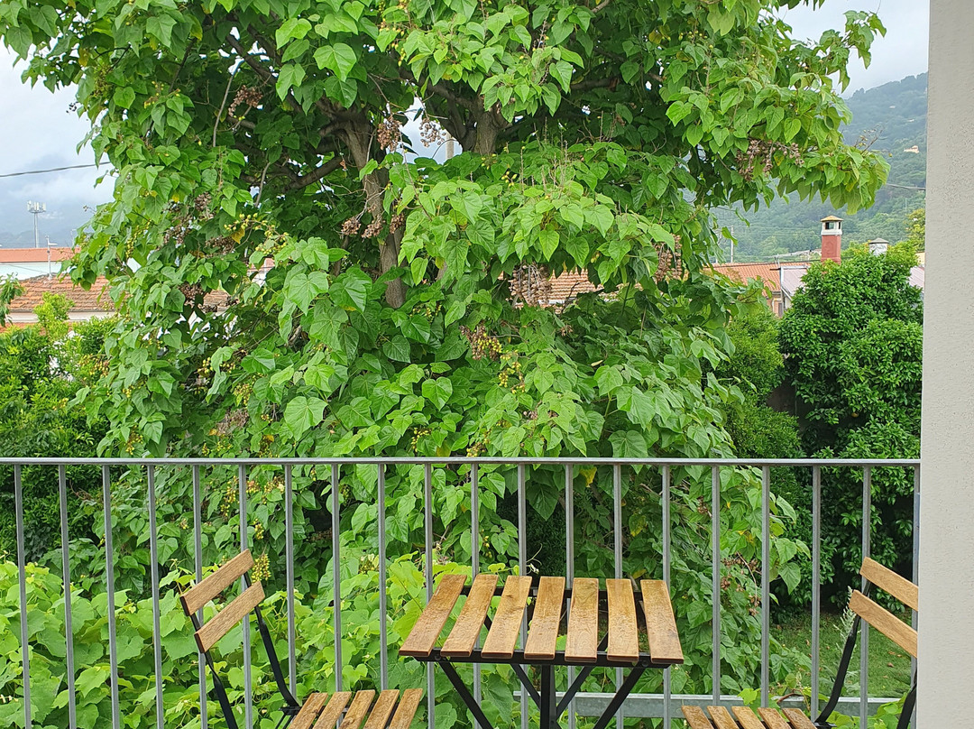 Agriturismo La Vite Maritata主图