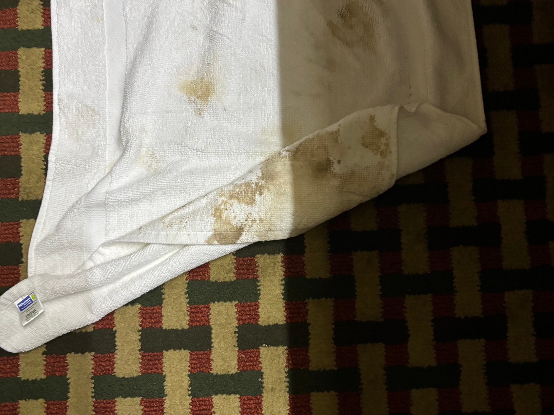 布拉德福德贝斯特韦斯特客栈酒店主图