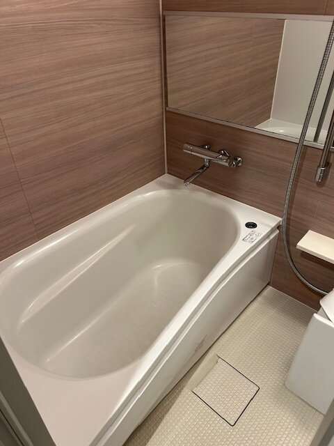 Hotel Musse Ginza Meitetsu-浴室