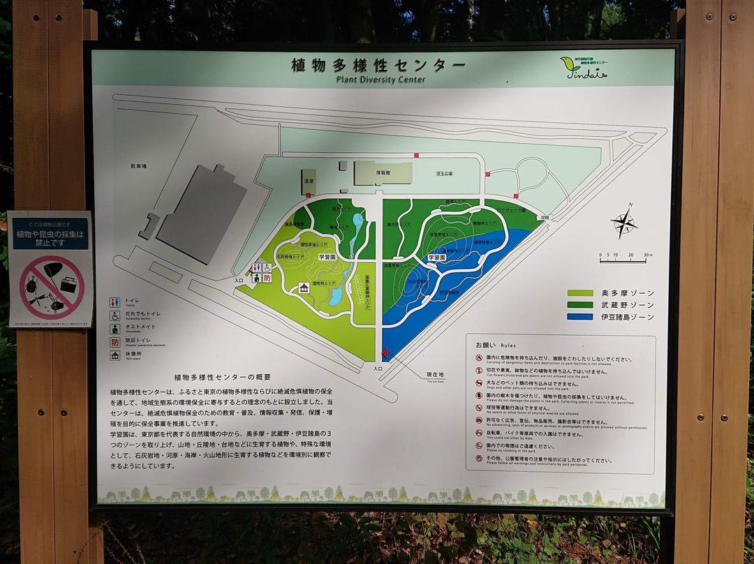 Jindai Botanical Garden Plant Diversity Center-调布市必去景点