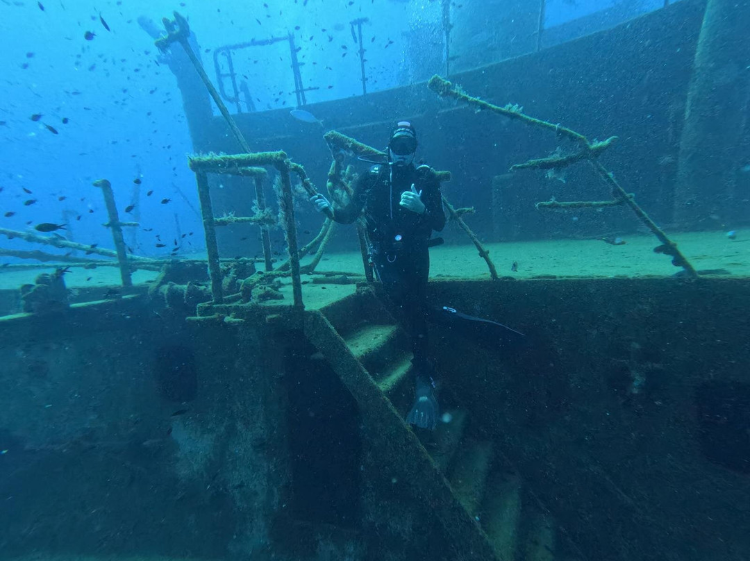 Orangeshark Diving Centre-梅雷赫必去景点