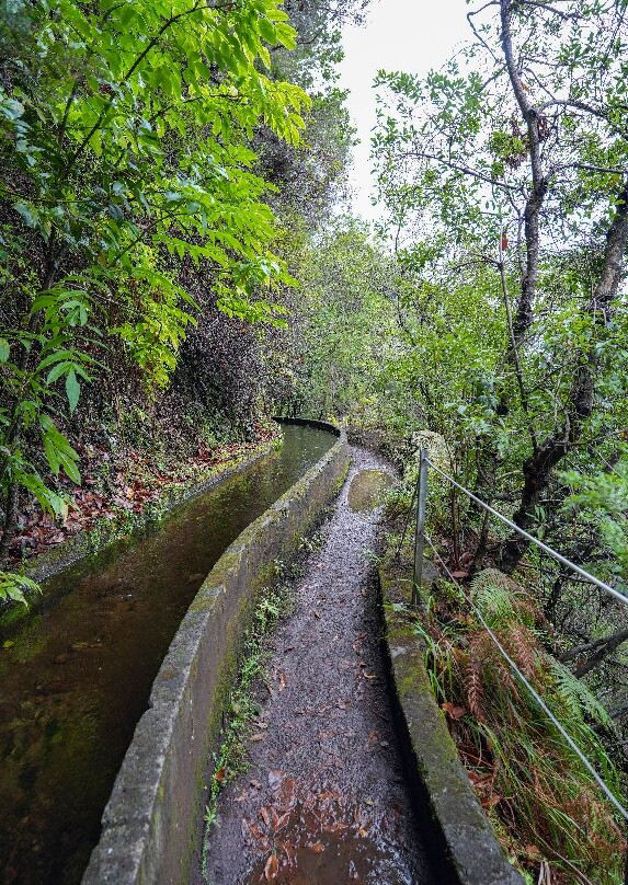 PR16 Levada Fajã do Rodrigues-Sao Vicente必去景点