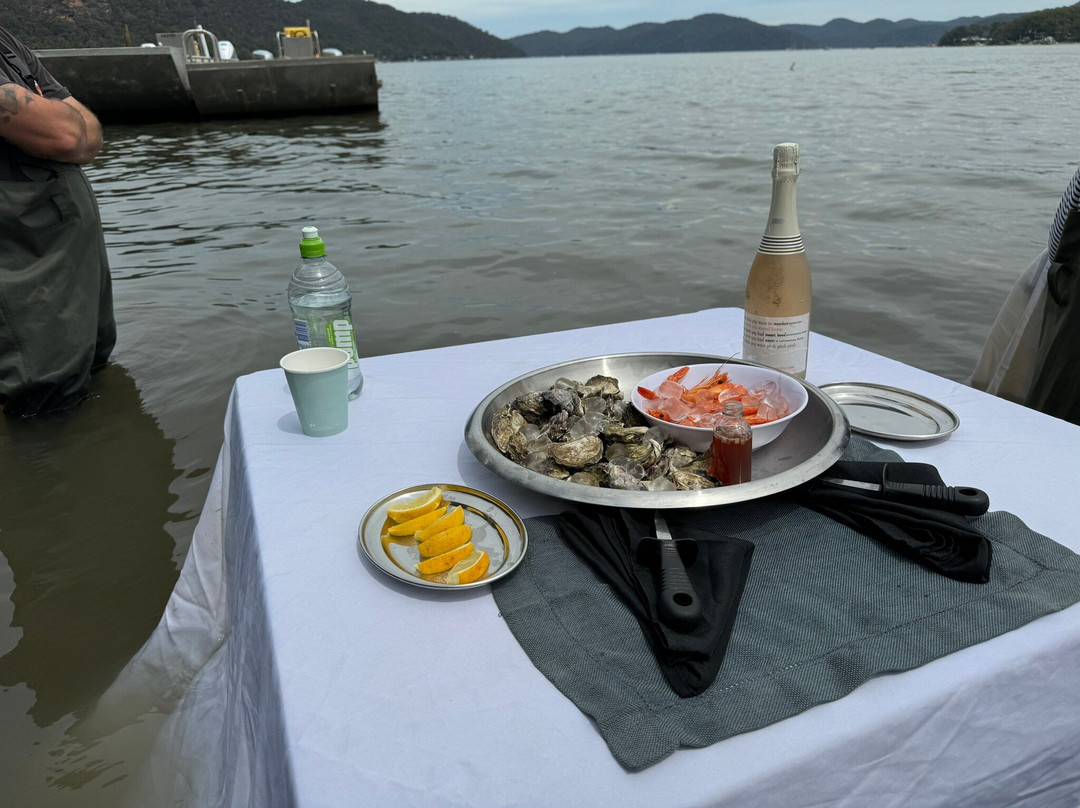 Sydney Oyster Farm Tours景点图片