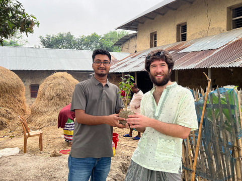 Insignia Tours and Travel