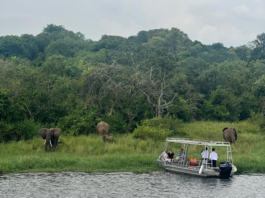 Ishamba Gorilla Tours and Eco-Safaris-Mbale必去景点