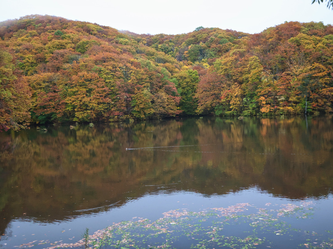 Magarisawa Pond景点图片