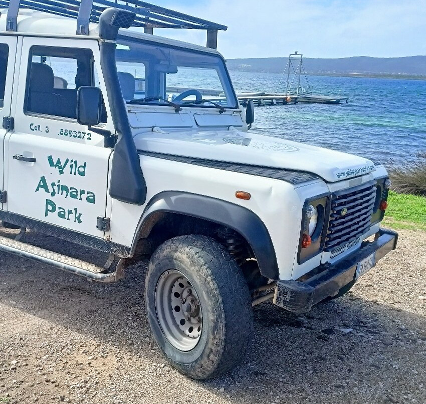 Wild Asinara Park-萨萨里省必去景点