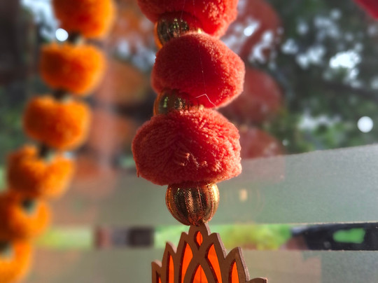 Rishikesh Yogkulam-里希克虚必去景点