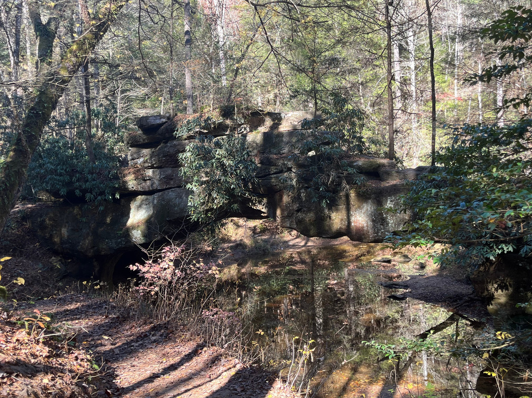 Rock Bridge Trail #207-Slade必去景点