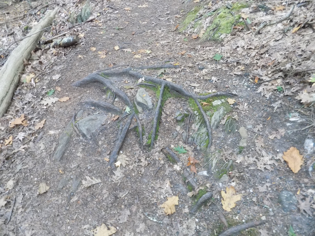 Devil’s Back Trail-奥尔岛必去景点