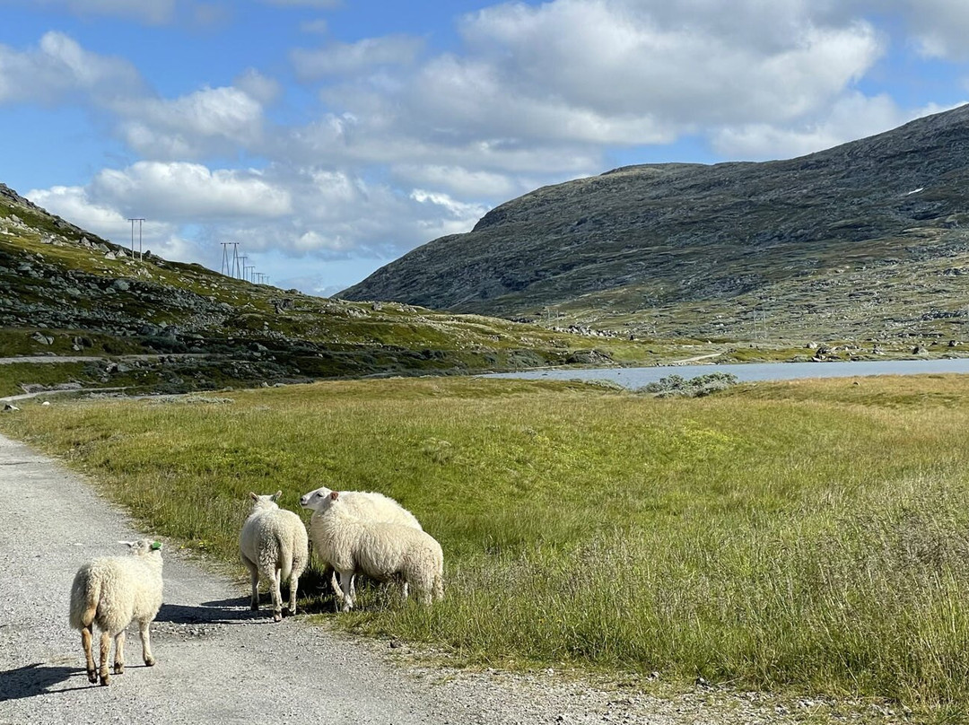 Rallarvegen景点图片