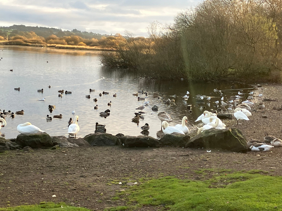 Castle Semple Country Park景点图片