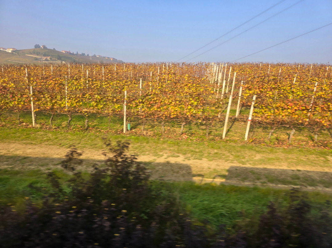 TrEno Langhe Monferrato Roero景点图片