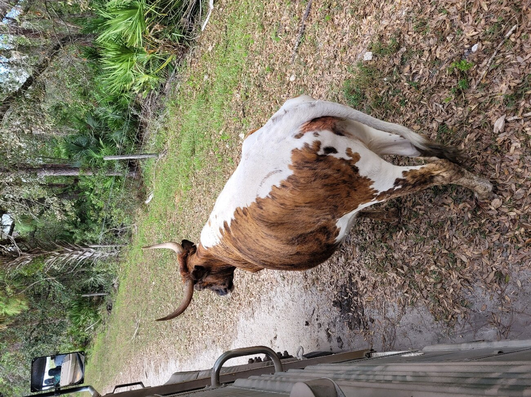Babcock Ranch Preserve-蓬塔戈尔达必去景点