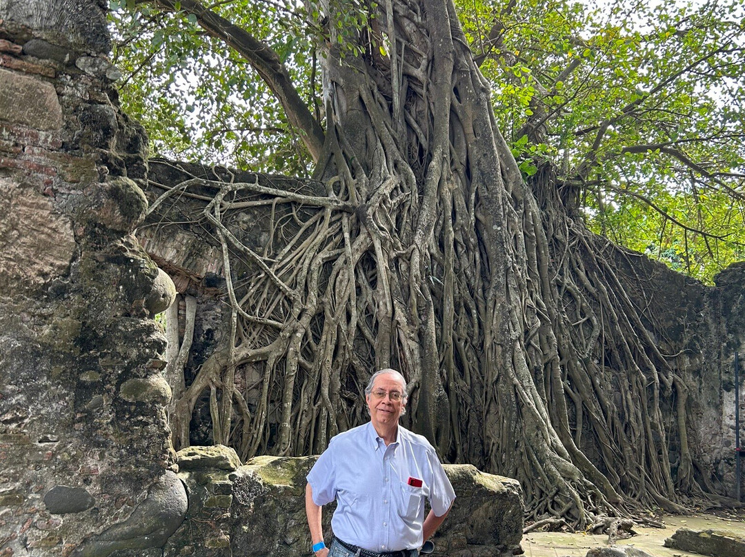 Casa de Hernan Cortes景点图片