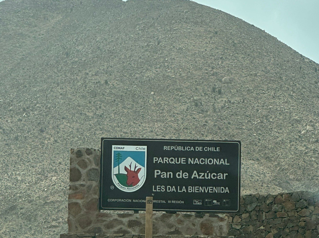 Pan de Azucar National Park-Chanaral必去景点