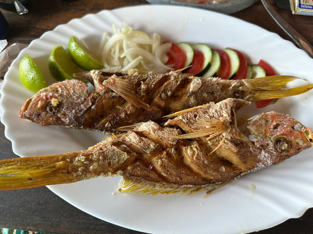 La Palapa De Don Mauro