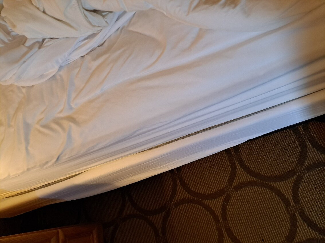 Comfort Inn Cobourg主图