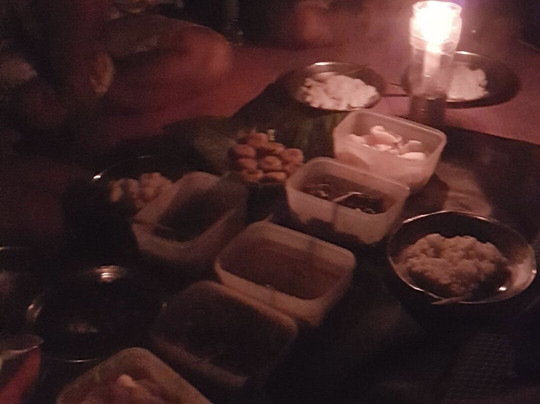 Adventure Orangutan Wildlife-棉兰必去景点