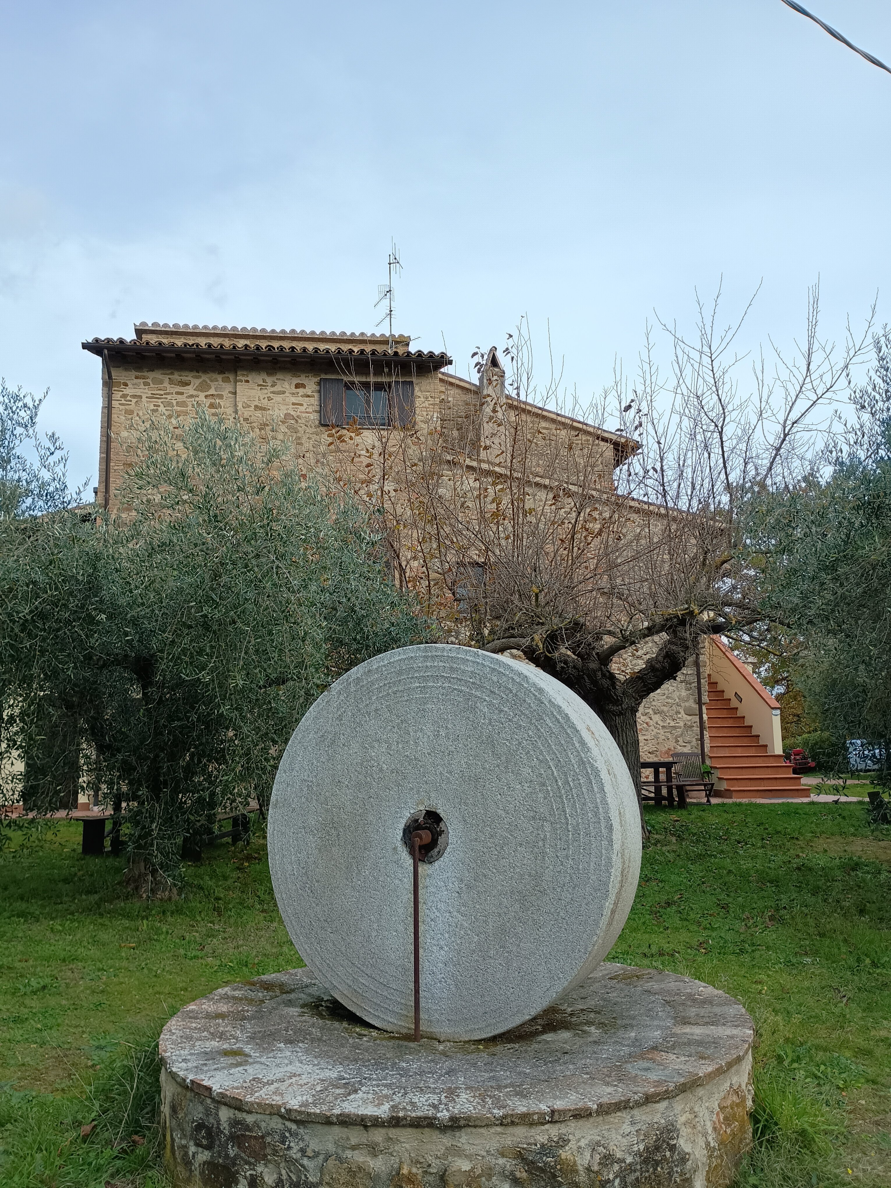 Maesta delle Quattro Chiavi-官方