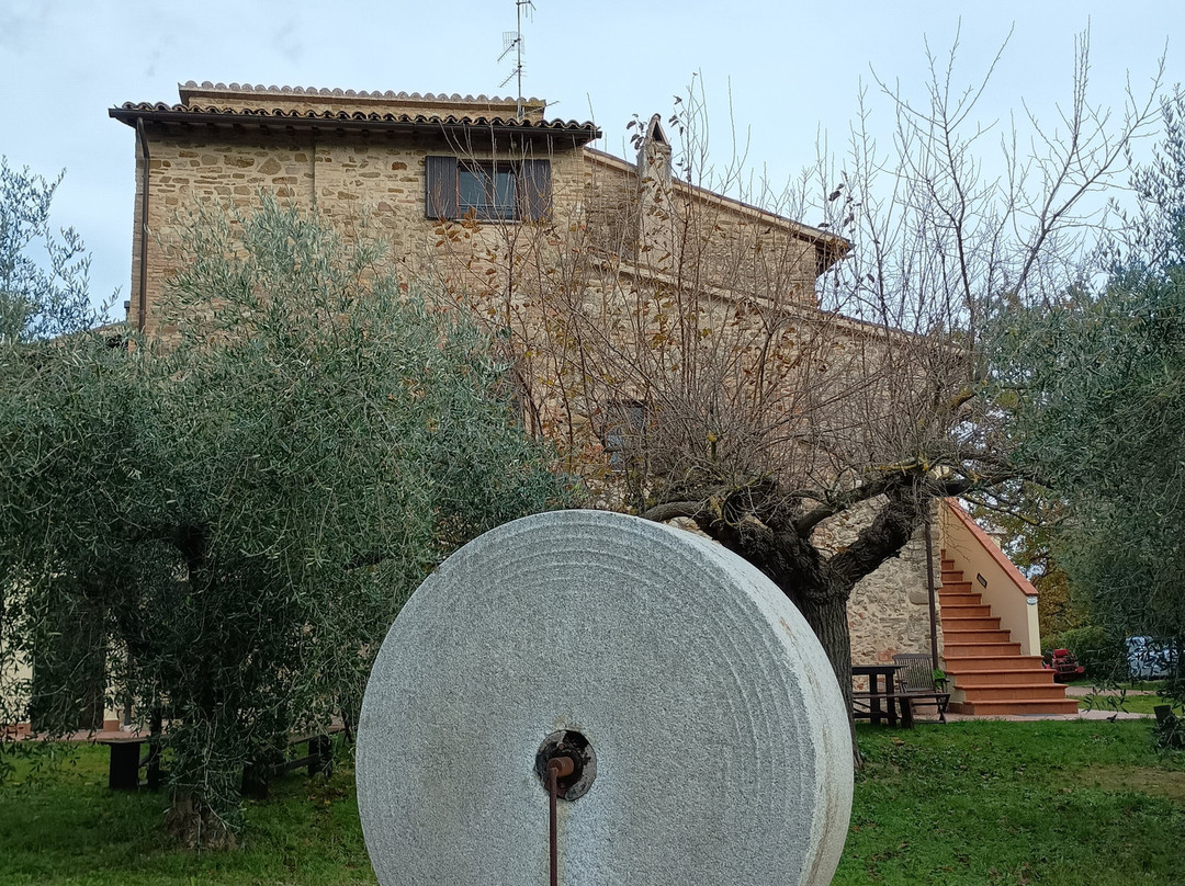 Maesta delle Quattro Chiavi主图
