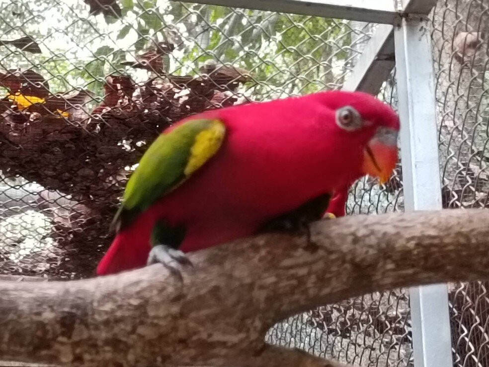 Khonkaen Zoo景点图片