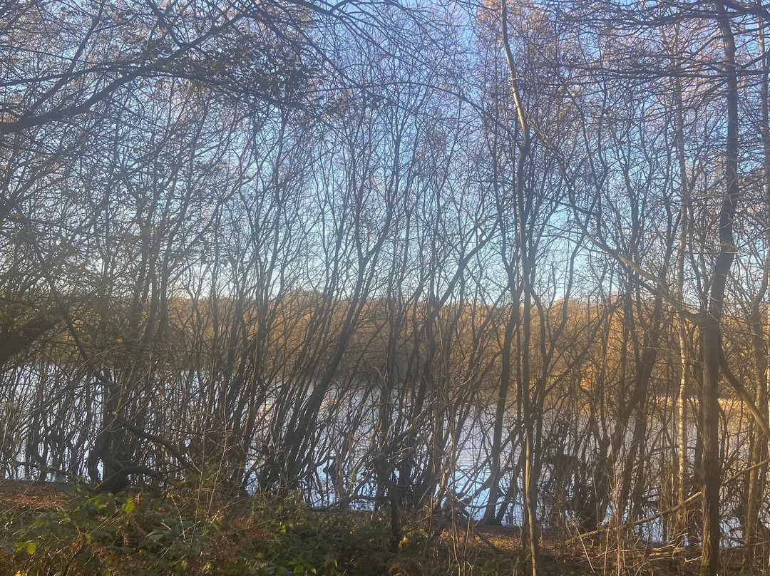 Ruislip Lido景点图片