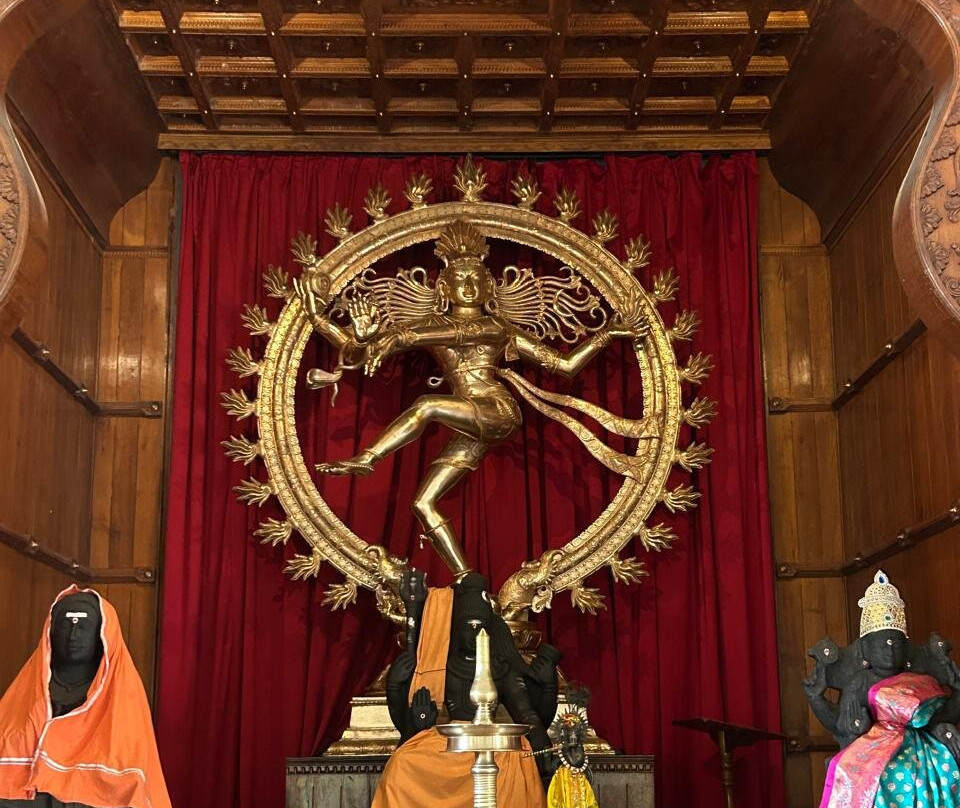 Sivananda Yoga Vedanta Dhanwantari Ashram景点图片