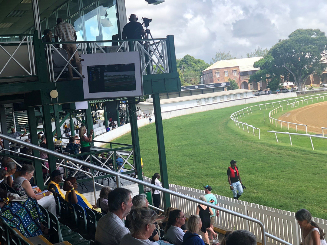 Garrison Savannah - Barbados Turf Club-布里奇顿必去景点