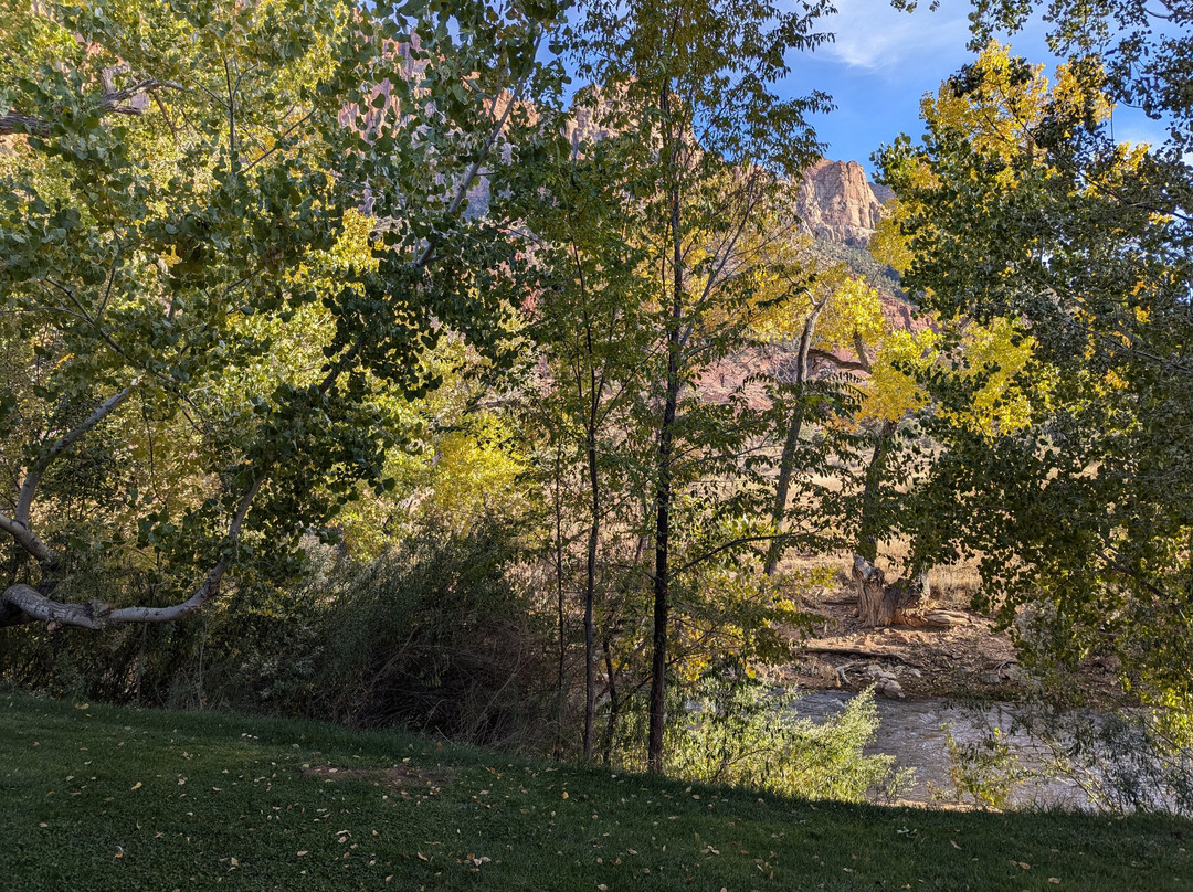 Desert Pearl Inn主图