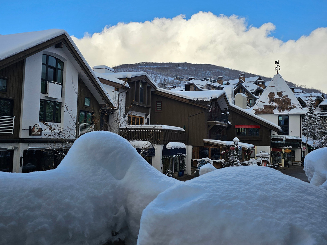 Sonnenalp Vail主图