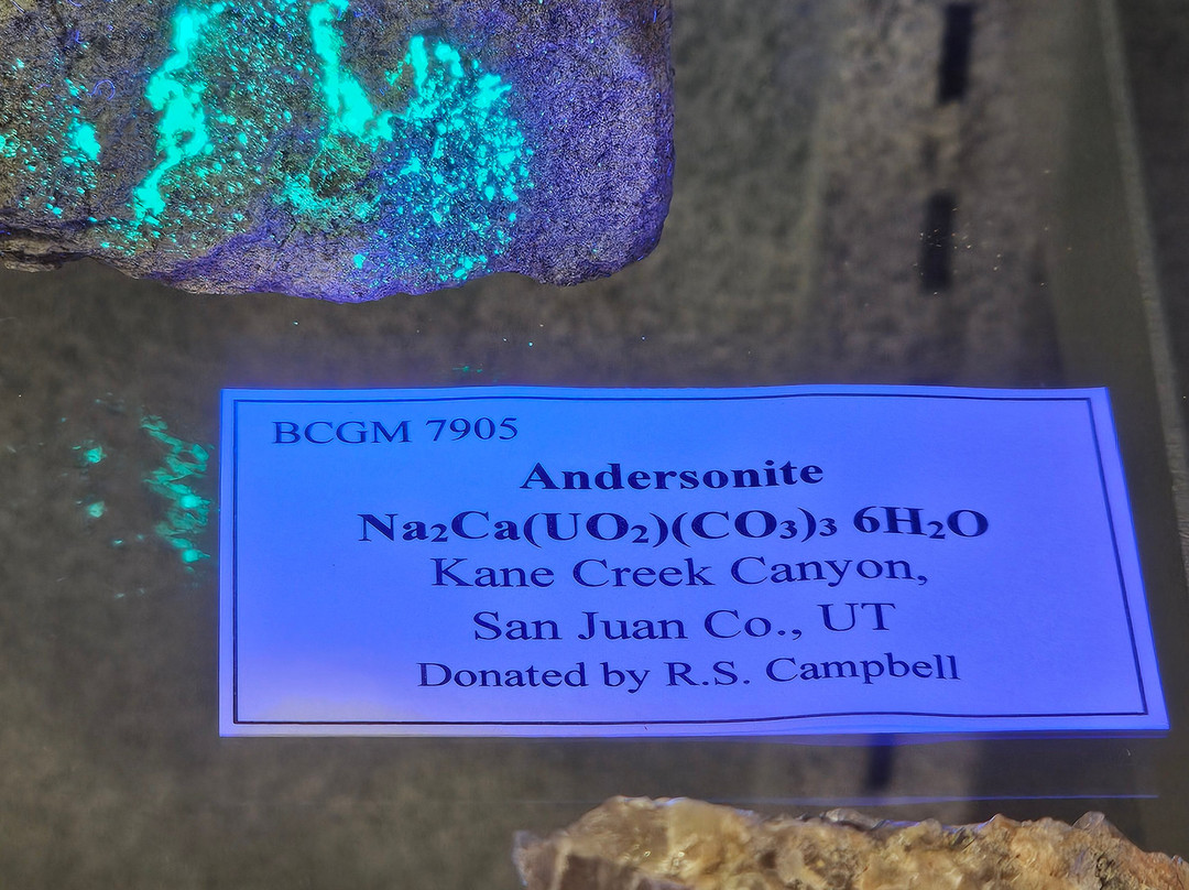 Bob Campbell Geology Museum景点图片