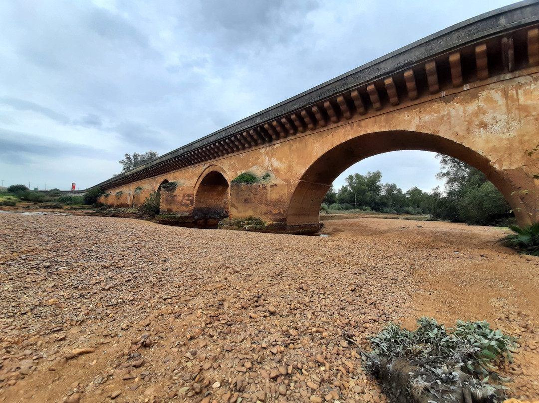 Puente Romano景点图片