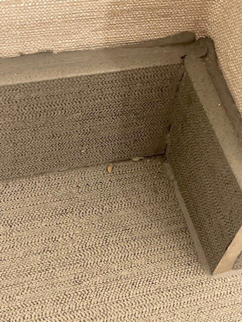 Sheraton Nashua主图