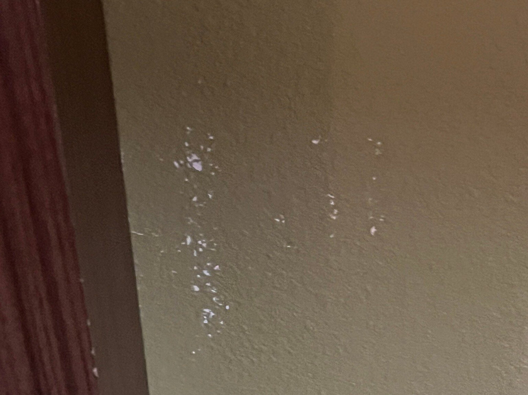 Holiday Inn Express & Suites Ponca City By IHG主图