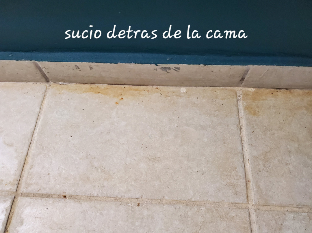 Aquarius Vacation Club主图