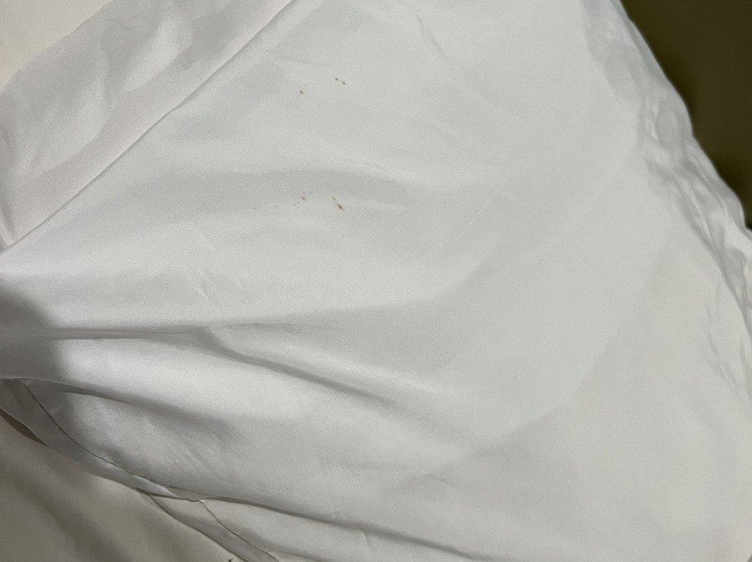 Country Inn & Suites by Radisson, Metairie (New Orleans), LA主图