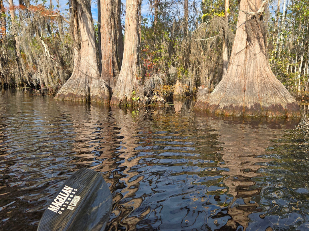 Stephen Foster Folk Culture Center State Park-White Springs必去景点