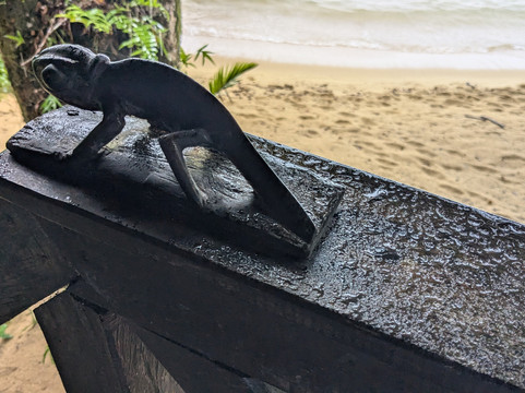 Masoala Forest Lodge主图