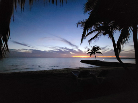 Almond Tree Hotel Resort主图