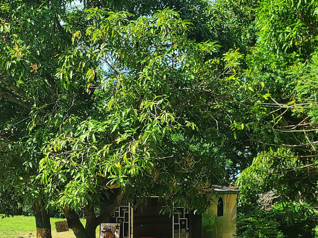 Peter Tosh Monument-内格里尔必去景点