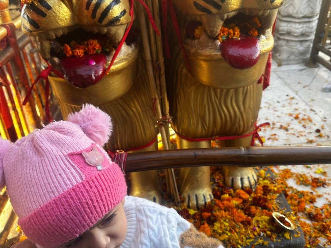 Shri Naina Devi Ji Ropeway景点图片