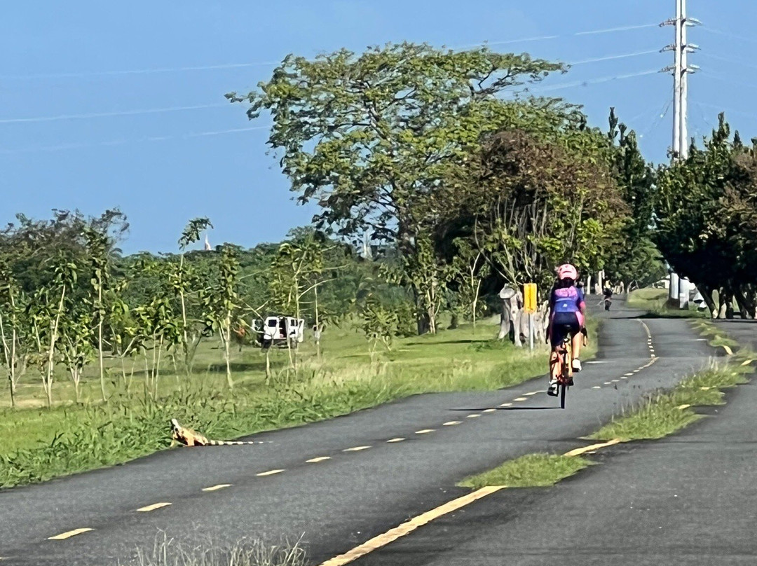 Paseo Lineal-Bayamon必去景点