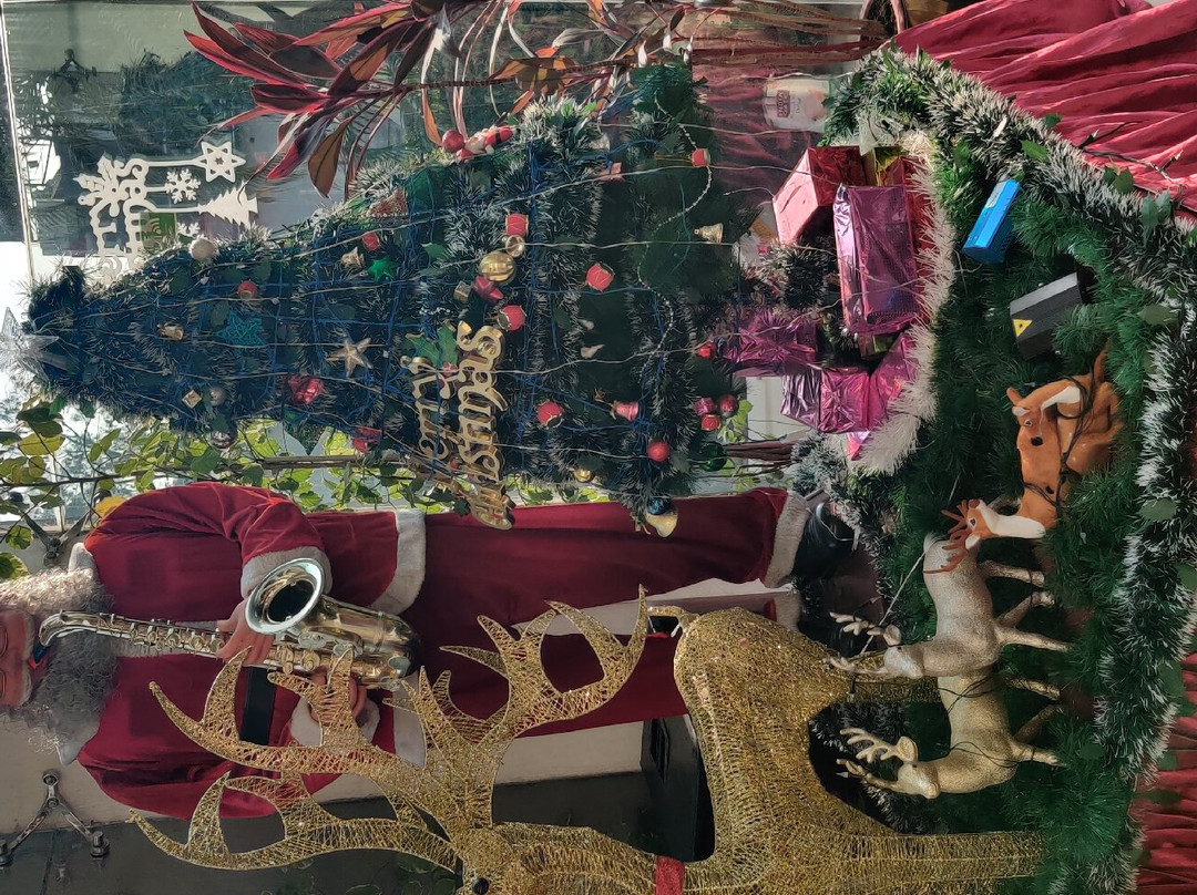 The Lily Hotel主图