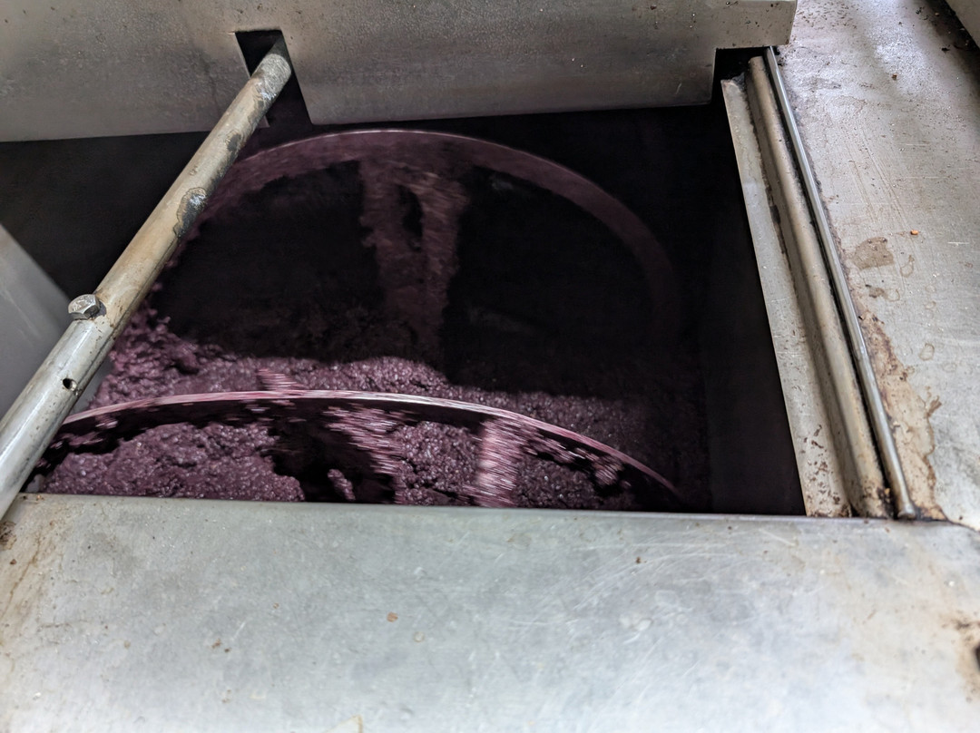 Markakis Olive Mill - Olive Oil-Chani Alexandrou必去景点